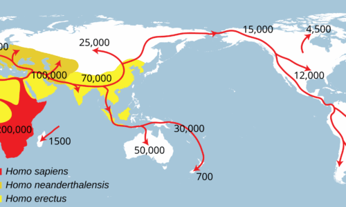Exploring Human Origins in Africa (6-8)