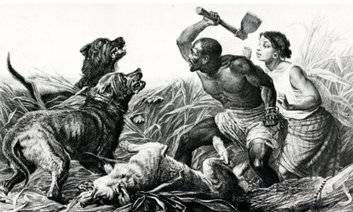 The Story of Igbo Landing and Resistance (6-8)